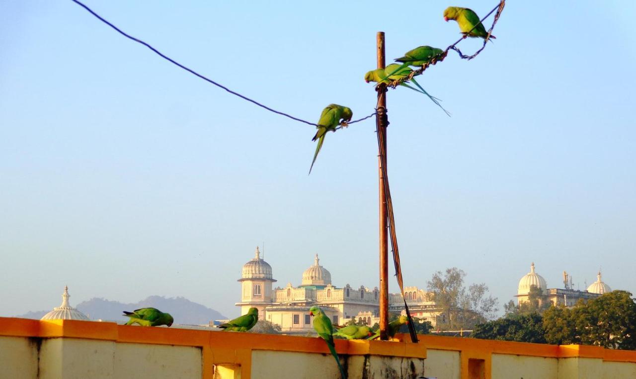 Mohan Villa Guest House Udaipur Esterno foto